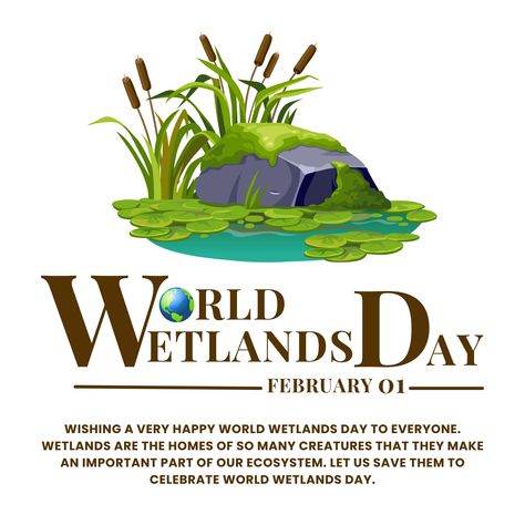 Wishing a very Happy World Wetlands Day to everyone. Wetlands are the homes of so many creatures that they make an important part of our ecosystem. Let us save them to celebrate World Wetlands Day. World Wetlands Day, Anime Quotes Inspirational, Creative Ads, Best Photo, Anime Quotes, Ecosystem, Very Happy, Cool Photos, Let It Be