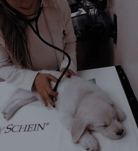 Aesthetic Vet Pictures, Vet Aesthetic, Vet Pictures, Vet School Motivation, Vet Tech School, Vet Technician, Veterinary School, My Dream Job, Veterinary Assistant