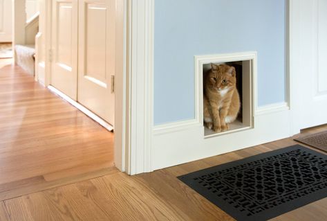 Cat Door Wall, New Traditional Kitchen, Pet Door, Cat Door, Cat Box, House Design Photos, Vent Covers, Space Cat, Custom Cat