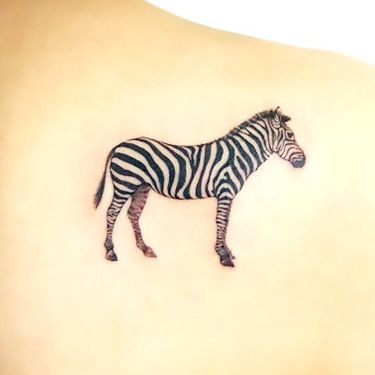 Simple Zebra Tattoo Idea Protection Symbol Tattoo, Tattoo Idea For Women, Zebra Tattoo, Small Tattoo Design, Zebra Tattoos, Tattoo Time, Protection Symbols, Symbol Tattoo, Tattoo Design Ideas