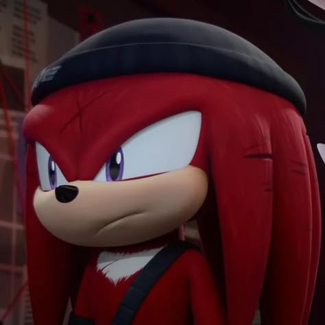 Knuckles Sonic, Hedgehog Game, Sonic Prime, Sonic & Knuckles, Rusty Rose, Sonic Fan Characters, Sonic 3, Blue Hedgehog, Sonic Franchise