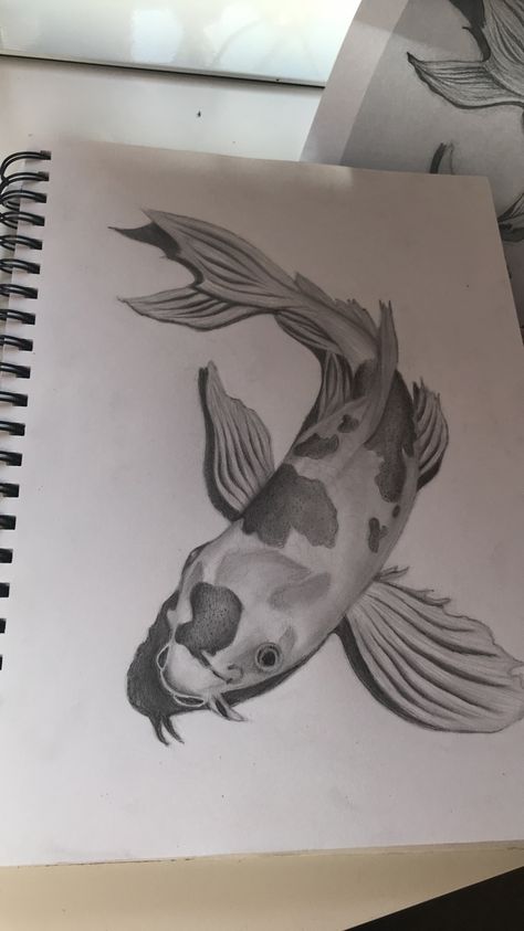 Koi Fish Sketch, Fish Sketch, Koi Fish Drawing, Drawn Fish, Pencil Drawings Of Animals, Sea Life Art, Carpe Koi, Trash Art, Fish Drawings