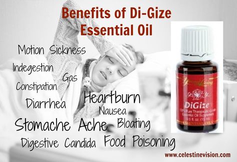 5 Benefits of DiGize Essential Oil – Celestine Vision Digize Essential Oil Young Living, Young Living Digize, Digize Essential Oil, Essential Oils For Cough, Young Living Oils Recipes, Young Living Recipes, Living Oils Recipes, Young Living Essential Oils Recipes, Yl Oils