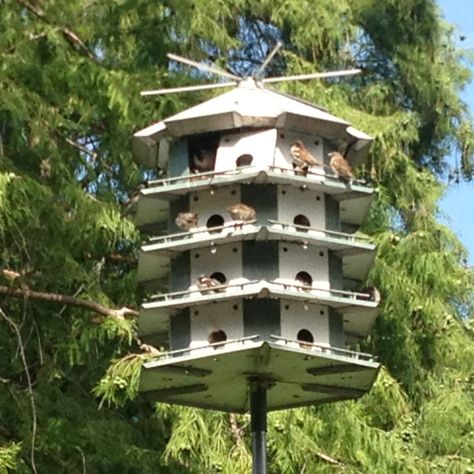 Bird hotel! Bird Hotel, Wood Bird, Bird Houses, Bird House, Metal Art, Butterflies, Funny Quotes, Birds, Hotel