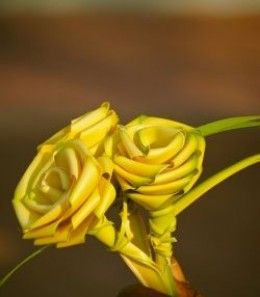 How to Make - Three Palm Roses Palm Folding, Palm Rose, Leaf Roses, Palm Weaving, Palm Cross, Ti Leaf, Palm Sunday Crafts, Sunday Rose, Palm Frond Art