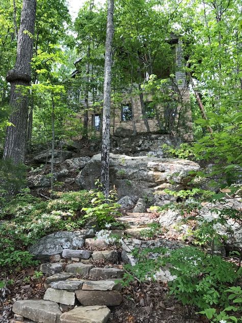 Smith Lake Alabama, Pet Boarding, Boat Lift, Lake Vacation, Rock Creek, Boat Dock, Boat Rental, Screened Porch, Standup Paddle