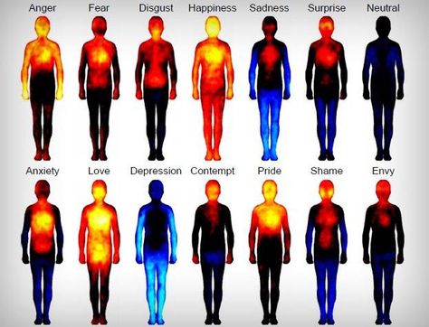 Thermal imaging of emotions Heat Map, Body Map, Strong Mind, Skin Hydration, Clean Food, Different Emotions, Mind Body Connection, Bowl Recipe, Les Chakras