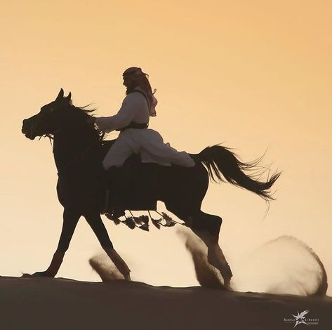 Arabian Horse, In The Desert, A Horse, The Desert