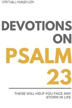 Psalm 23 is one of the most famous Psalms in the Bible. This post presents the beautiful new Passion Translation of Psalm 23. In addition, there is verse by verse meanings of Psalm 23, which will help you better understand this vital piece of Scripture and help connect it to your life in fresh new ways. Psalms Meaning, Short Devotions, Girl Bible Study, Love Scriptures, Everyday Prayers, Overcome Fear, Bible Study Plans, Biblical Encouragement, Womens Bible Study