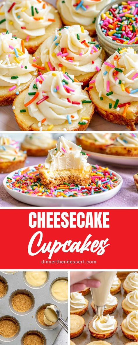 Cheesecake Jello, Rainbow Cheesecake, Cheesecake Cupcakes Recipe, Easy Buttercream Frosting, Homemade Graham Cracker Crust, Birthday Dessert, Homemade Graham Crackers, Dessert Cookbooks, Cheesecake Cupcakes