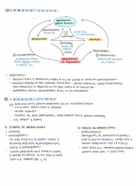 Ecology Notes, Notes Motivation, Neet Notes, Study Goals, Biology Revision, Mcat Study, Tattoos Inspo, Study Stuff, Pretty Handwriting