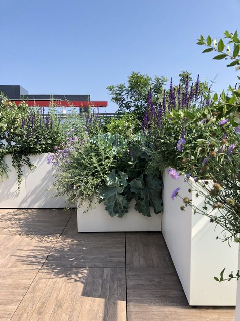 Terrace with sea view - BLOSS Big Penthouse, Wood Flower Box, Penthouse Terrace, Terraced Landscaping, Window Box Flowers, Terrace Garden Design, Rooftop Terrace Design, Balcony Plants, Garden Containers