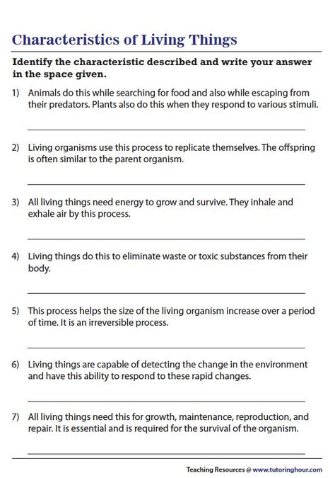 Living And Nonliving Things, Free Science Worksheets, Characteristics Of Living Things, Living And Nonliving, Life Skills Class, Biology Worksheet, Teaching Sewing, Pineapple Lemonade, Science Literacy