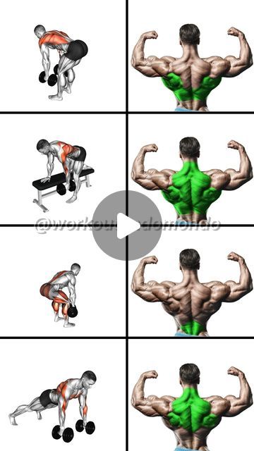 Endomondo on Instagram: "💪 Strengthen Your Back with These Dumbbell Exercises! 
✅SAVE THIS FOR LATER🔥!
✅SAVE/SHARE to add to your routine
➖➖➖➖➖➖➖➖➖➖➖

1️⃣ Dumbbell Bent-Over Row: 3x12 reps
2️⃣ Single-Arm Dumbbell Row: 3x12 reps
3️⃣ Dumbbell Deadlift: 3x10 reps
4️⃣ Renegade Row: 3x10 reps

♦️➖➖➖➖➖➖➖➖➖➖
👉 Get a full guide now: https://www.endomondo.com/exercise/dumbbell-back-exercises
🔔 Turn on post notification ✅
➖➖➖➖➖➖➖➖➖➖♥️
•
•
•
#BackWorkout #StrengthTraining #GymVideos #Workoutideas #WorkoutVideos #Fitness #Endomondo" Dumbbell Deadlift, Exercise Dumbbell, Dumbbell Row, Strengthen Your Back, Renegade Rows, Dumbbell Exercises, Do Exercise, Dumbbell Workout, Back Exercises