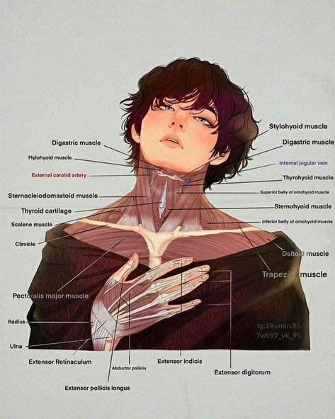 Human Anatomy Notes Aesthetic, Learn Biology, Biology Facts, Medical School Inspiration, Medical School Essentials, Human Anatomy Art, Medical Anatomy, Body Anatomy, Anatomy Drawing