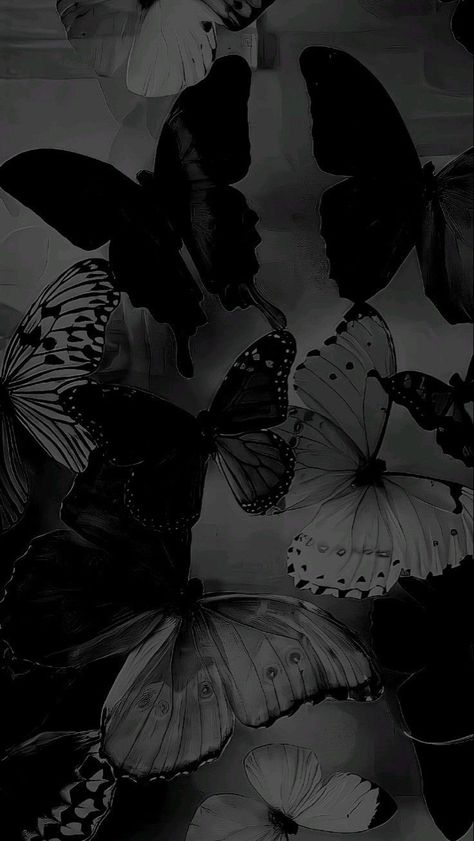 Butterfly Wallpaper Black Aesthetic, Wallpaper Black Homescreen, Dark Gray Aesthetic Wallpaper, Dark Butterfly Wallpaper Aesthetic, Black Aesthetic Wallpaper Homescreen, Butterfly Wallpaper Black, Butterflies Black Background, Black Cat And Butterfly, Black Butterfly Wallpaper