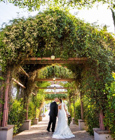 Wine Country Wedding Venues, Temecula Wineries, Temecula Wedding, Wine Country Wedding, Wedding Event Venues, Wedding Linens, Local Wedding, Wedding Southern California, Outdoor Wedding Ceremony