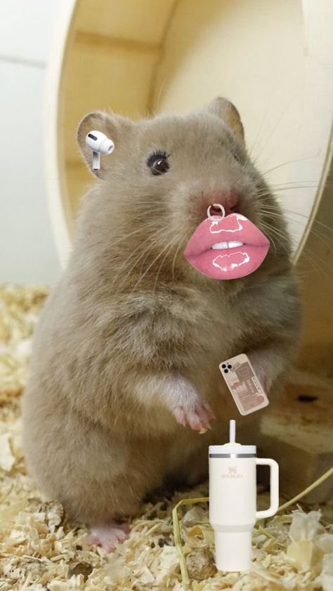 Baddie hamster! #hamster #baddie #slay #preppy