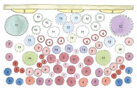 The Catherine Janson Border Garden Planting Ideas, Small Garden Borders, Cottage Garden Plan, Cottage Garden Borders, Small Yellow Flowers, Border Ideas, Garden Border, Famous Gardens, Vegetable Garden Planning