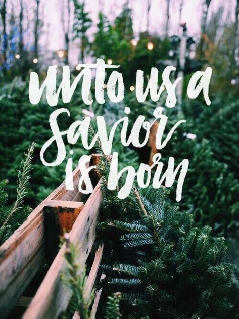 A Savior Is Born, Christmas Time Is Here, Holiday Wallpaper, Christmas Messages, Beating Heart, Tree Farm, Christmas Tree Farm, Holy Night, Noel Christmas