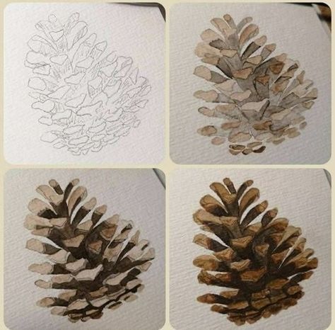 Pine Cone Watercolor Paintings, Watercolor Pinecones Tutorial, Pinecone Drawing, Pine Cone Watercolor, Watercolor Pinecone, Pinecone Painting, Pine Cone Drawing, Pine Cone Art, Christmas Card Art