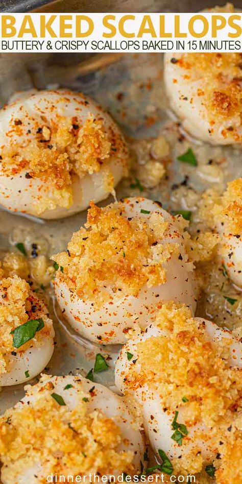 Scallop Recipes Baked, Crispy Salmon Recipe, Boil Recipes, Baked Scallops, Seafood Bake, Crab Stuffed, Shell Fish, Seafood Recipe, Budget Bytes