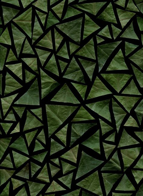 Triangle leaves Triangles In Nature, Triangle Aesthetic, Green Triangle, Simple Green, Geometric Triangle, Triangle Pattern, Shape And Form, Fabric Texture, Green Aesthetic