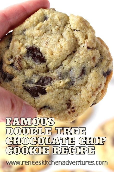 Hilton Double Tree Chocolate Chip Cookies, Better Than Double Tree Chocolate Chip Cookies, Double Tree Chocolate Chip Cookie Recipe, Double Tree Cookie Recipe, Famous Cookie Recipes, Double Tree Cookies, Doubletree Chocolate Chip Cookies, Doubletree Chocolate Chip Cookie Recipe, Doubletree Cookie Recipe