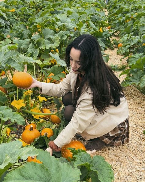 Sunflowers, pumpkins and scarecrows oh my 🌻🎃🍂 Vanessa Merrell, Corn Fields, Merrell Twins, Scarecrow, Oh My, Pumpkins, Corn, Twins, Sunflower