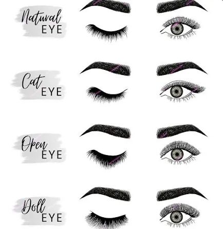 License Esthetician, Eyelash Shapes, Eye Shape Chart, Eye Lash Design, Smokey Eye Makeup Steps, Glam Studio, Eyeshadow Blending, Makeup Brush Uses, Eyelash Extension Training