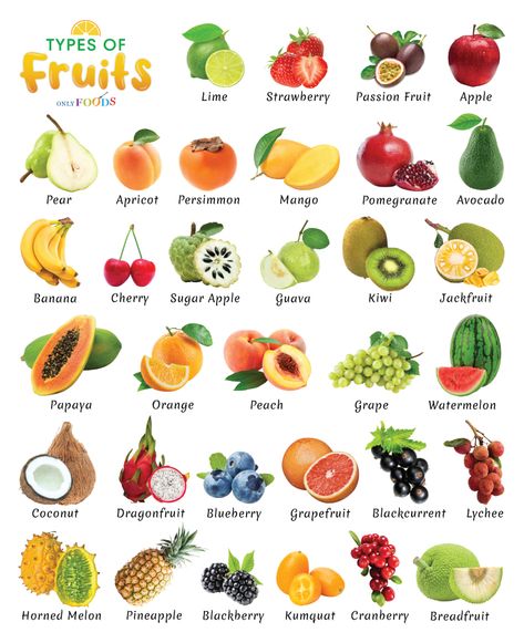 Low Carb Fruit List, Avocado Types, Fruits And Vegetables List, Fruits Name In English, Keto Fruit, Fruit Names, Fruit List, Low Carb Fruit, Sugar Apples