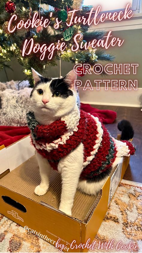 Snuggle up with your fur baby in style! Our crochet dog/cat sweater pattern is designed for the perfect fit, ensuring warmth and comfort all winter long. ❄️ Crochet Cat Christmas, Crochet Dog Sweater Pattern, Cat Sweater Pattern, Cat Christmas Sweater, Crochet Pet, Dog Sweater Crochet Pattern, Dog Sweater Pattern, Crochet Dog Sweater, Animal Crochet