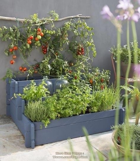 Vertical Pallet Garden, Herb Garden Pallet, Pallet Garden, Pallets Garden, Garden Signs, Terrace Garden, Bird Garden, Edible Garden, Balcony Garden