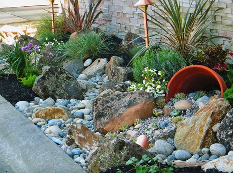 Rockery Garden Ideas, Diy Rock Landscaping Ideas, Diy Rock Landscaping, Low Water Landscaping, Rockery Garden, Succulent Garden Landscape, Rock Garden Ideas, Gravel Landscaping, Low Water Gardening