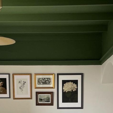 Dark Green Ceiling White Walls, Coloured Ceilings Living Room, Colour Ceiling Bedroom, Olive Green Ceiling, Bold Interior Paint Colors, Green Ceiling Living Room, Green Bedroom Ceiling, Double Drenching, Green Doors Interior