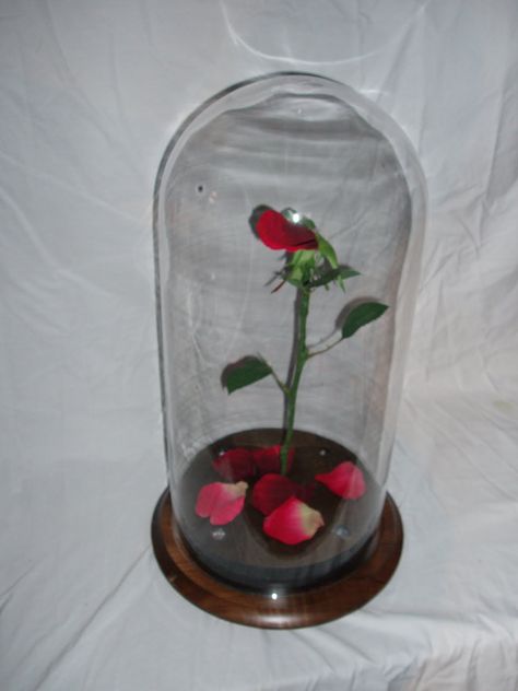 PropRentalsNY.com - Long Island And New York's Best Source For Props! Rose In A Glass Dome, Dark Wedding Theme, Beauty And The Beast Rose, Rose In A Glass, Enchanted Rose, Forever Rose, La Rose, Affordable Home Decor, Polymer Clay Art