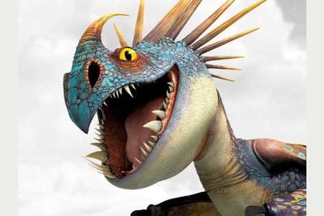 What HTTYD Dragon Are You? Httyd Fanfiction, Describe Your Personality, Dragon Heart, Rainbow Cookies, Httyd Dragons, Dreamworks Animation, Train Your Dragon, Personality Quiz, How To Train