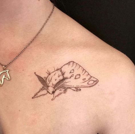 Small Sketch Tattoo Ideas, Realistic Snail Tattoo, Entomology Tattoo, The Thing Tattoo, Small Insect Tattoo, Whimsical Tattoo Ideas, Insects Tattoos, Cute Moth Tattoo, Top Surgery Scar Tattoo