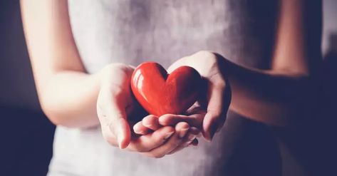 5 Ways to Guard Your Heart This Valentine’s Day by Vivian Bricker I Talk Too Much, World Heart Day, Holding Heart, Talk Too Much, Chrome Extension, Guard Your Heart, Heart Day, Heart Hands, Cardiovascular Health