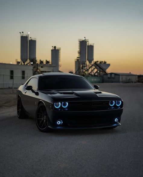 Doge Challenger, Black Dodge Charger, Challenger Hellcat, Dodge Challenger Hellcat, Serie Bmw, Dodge Challenger Srt Hellcat, Dodge Muscle Cars, Dodge Challenger Srt, Srt Hellcat