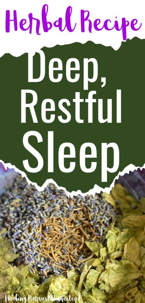 Herbs For Sleep, Tinctures Recipes, Herbal Remedies Recipes, Sleep Tea, Herbal Tinctures, Herbal Recipes, Sleep Remedies, Natural Sleep Remedies, Herbs For Health