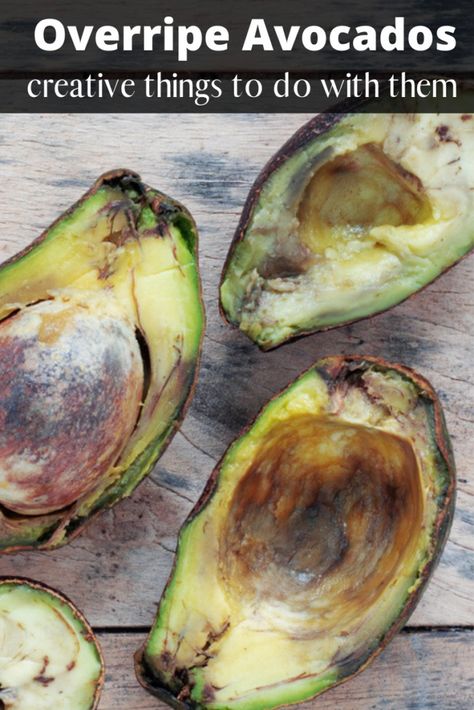 Have Overripe Avocados_ Creative things to do with them Ripe Avocado Recipes, Overripe Avocado, Avocado Ideas, Shrimp Avocado Salad Recipe, Clean Smoothies, Avocado Uses, Roasted Corn Salad, How To Ripen Avocados, Avocado Recipes Healthy