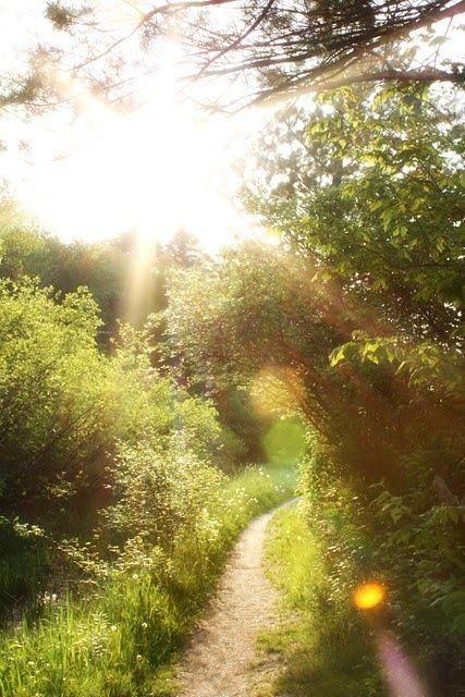 Veď mě dál, cesto má, veď mě dál, vždyť i já, tam kde končíš, chtěl bych dojít, veď mě dál, cesto má.... Breathtaking Nature, Green Bouquet, Goddess Art, Green Gables, Country Road, Nature Aesthetic, Perfume Spray, Country Life, Oahu