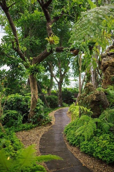 Tropical Rainforest Garden, Rainforest Landscape Design, Rainforest Garden Ideas, Tropical Jungle Garden, Resort Garden Design, Rainforest Backyard, Tropical Garden Design Small Spaces, Rain Forest Garden, Jungle Garden Ideas