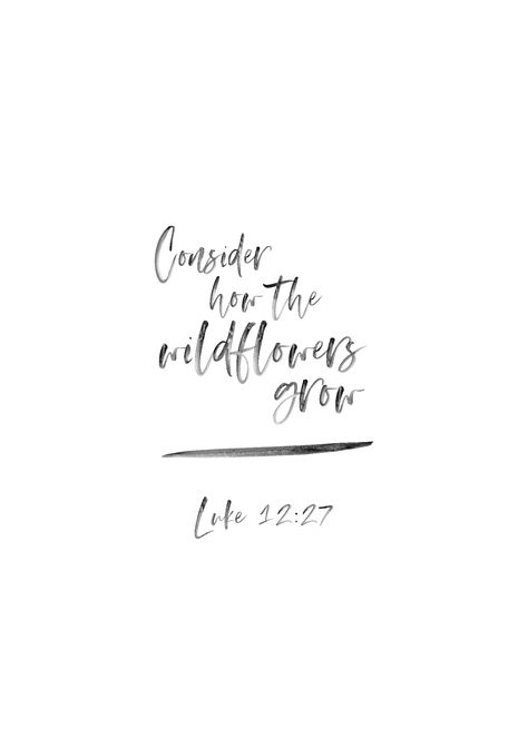 Luke 12:27, Consider how the wildflowers grow Wildflower Love Quotes, Wildflower Sayings Words, Wildflowers Bible Verse, She Belongs Among The Wildflowers Tattoo, You Belong Among The Wildflowers Wallpaper, Be A Wildflower Quote, Bible Flower Quotes, Bible Wildflowers, Wildflower Captions