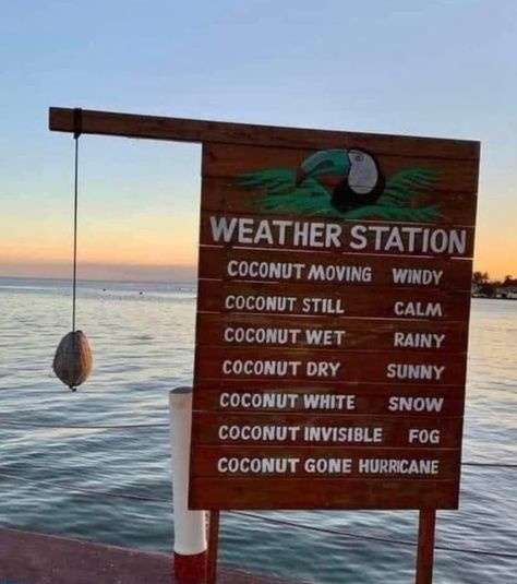 Florida Weather Humor, Weather Humor, Florida Weather, Car Salesman, Weather Today, Tropical Weather, Sales Pitch, Signs Funny, Man Cave Signs