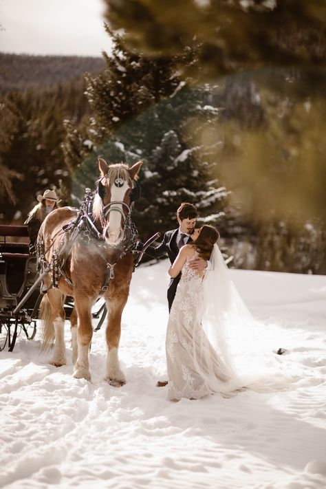 Horse Drawn Sleigh Wedding, Horse Drawn Carriage Wedding Winter, Colorado Winter Wedding Dress, Aspen Winter Wedding, Winter Mountain Elopement, Alpine Wedding, Winter Wedding Aesthetic, Horse Drawn Sleigh, Colorado Winter Wedding