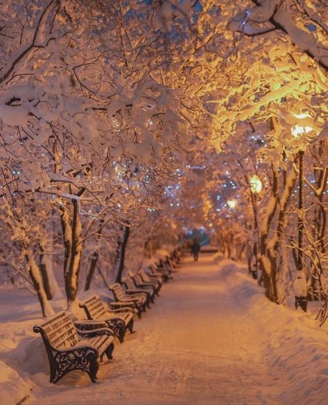 Joulun Aika, Christmas Dreaming, Christmas Destinations, Wallpaper Winter, Winter Szenen, 캐릭터 드로잉, Winter Love, Winter Wallpaper, Winter Scenery