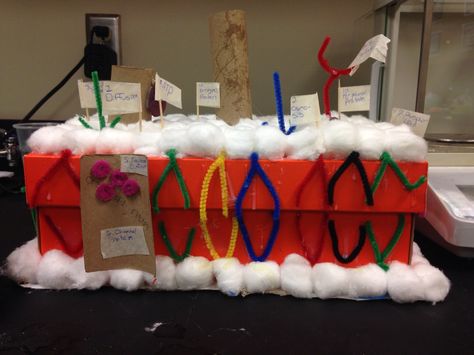 Model Cell Membrane Model Projects, Active Transport Biology, Earth Science Projects, Cell Project, Science Cells, Cells Project, Teaching Algebra, Plasma Membrane, Cell Model