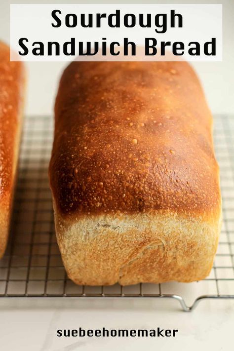 Sourdough Sandwich Bread uses a bubbly sourdough starter to create the best everyday sandwich bread. After reading my sourdough baking tips, you'll soon be on your way to amazing avocado toast, sandwiches, paninis, or just plain bread with butter! Soft Sourdough Sandwich Bread, Sandwhich Bread, Sourdough Sandwich Bread Recipe, White Sandwich Bread, Sourdough Sandwich Bread, Honey Oat Bread, Sourdough Bread Sandwiches, Sourdough Sandwich, Homemade Breads